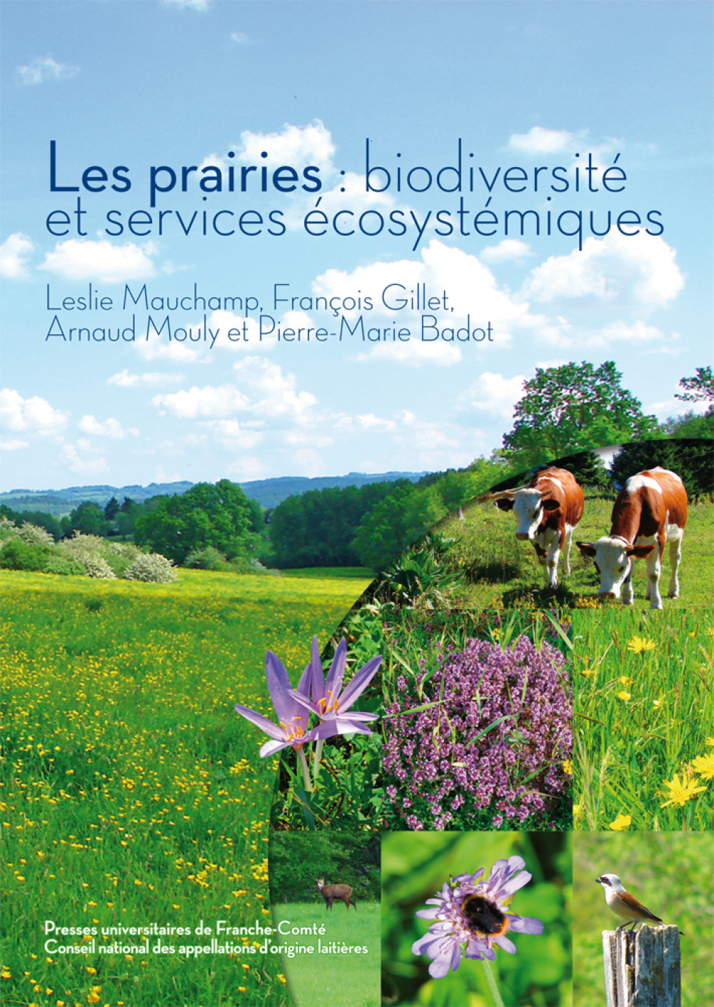 Les prairies : biodiversité et services écosystémiques